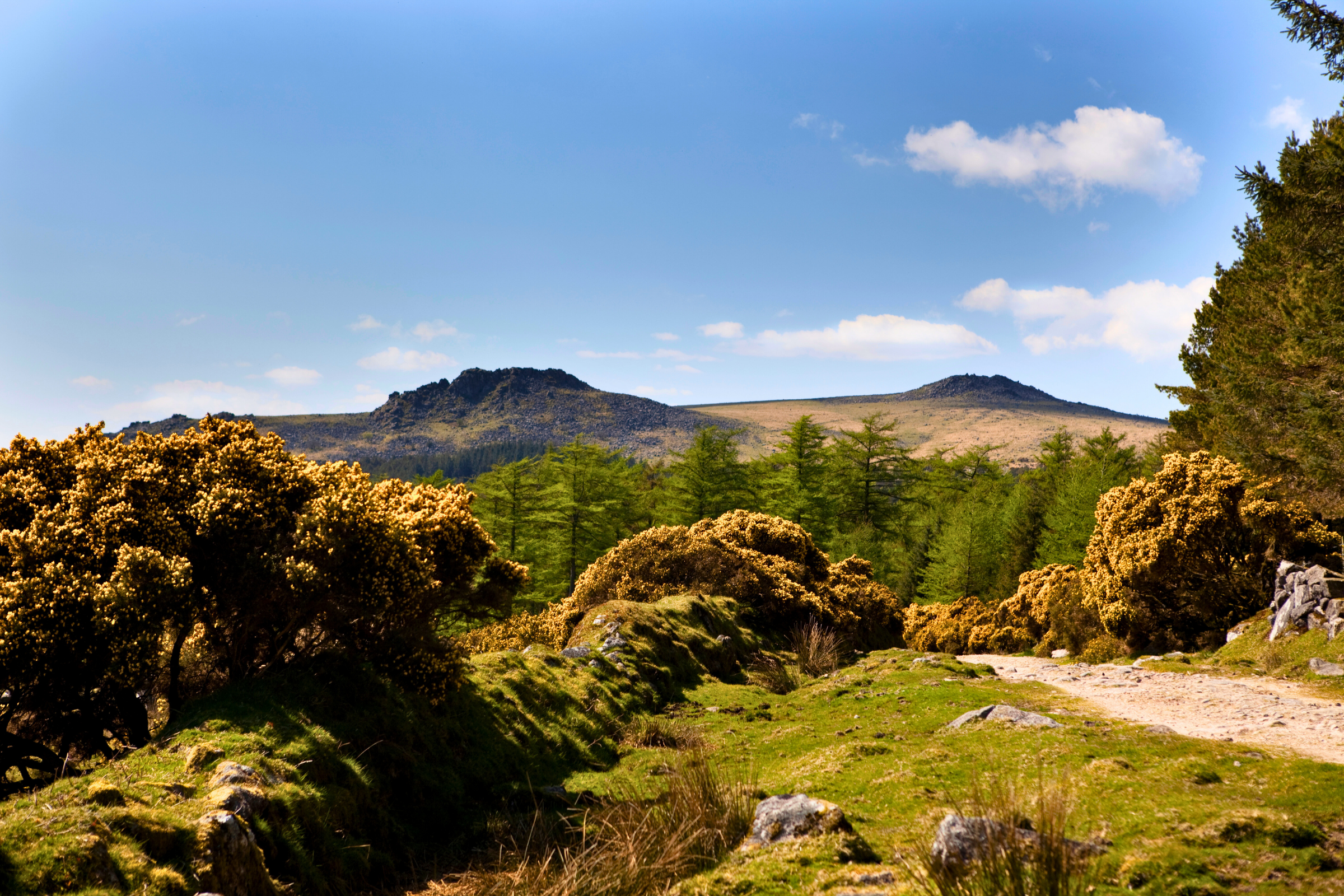 dartmoor national park (3).webp